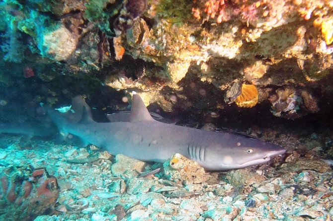 Try Scuba Diving at Padang Bai - Shower and Change of Clothes: Small Comforts That Make a Difference