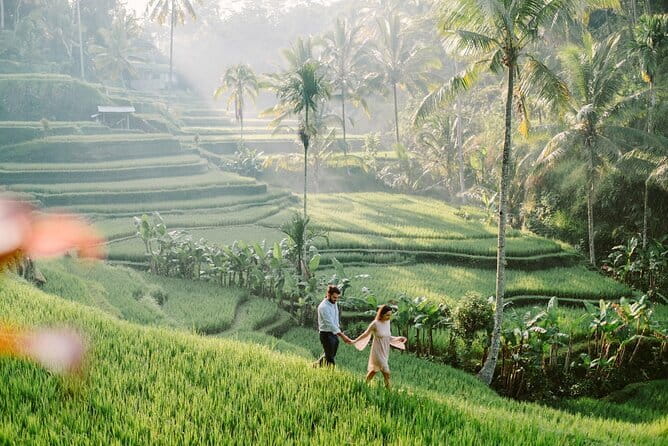 Ubud 1 Day Tour (Private & All-Inclusive) - Tegalalang Rice Terrace: Iconic Green Views and the Final Wow