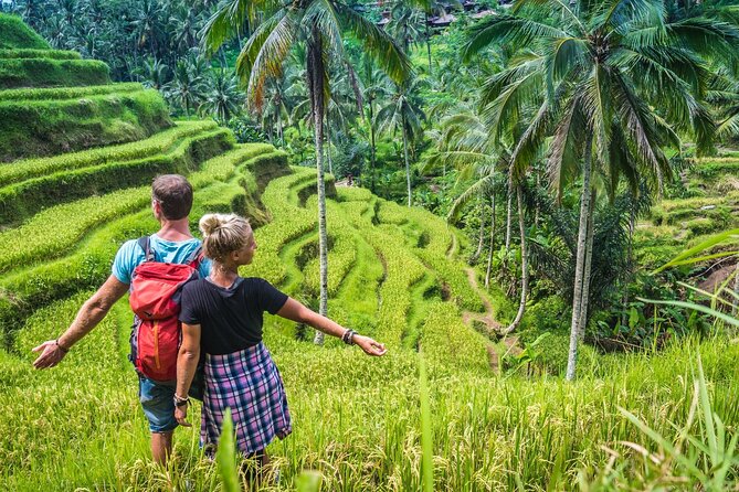 Ubud Adventure All Inclusive Private Day Tour - Tirta Empul Temple: a water temple you should approach with care
