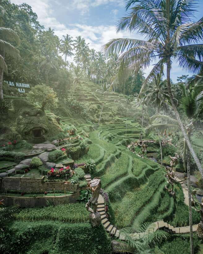Ubud: Alas Harum Day-Pass, Swing, Sky Bike & Flying Fox - What you do, what you skip, and a realistic tradeoff
