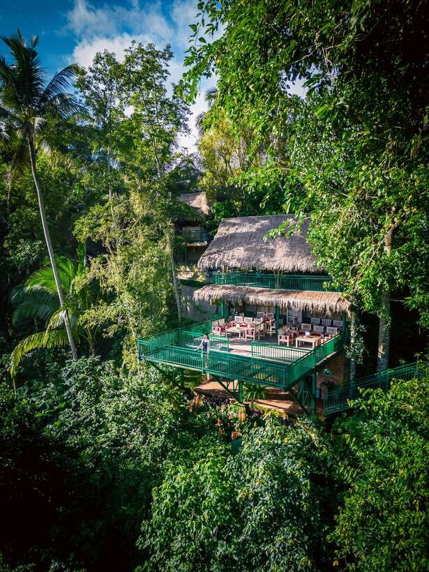 Ubud: Alas Harum Day-Pass, Swing, Sky Bike & Flying Fox - Key highlights at a glance