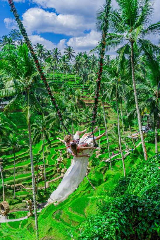 Ubud: Alas Harum Day-Pass, Swing, Sky Bike & Flying Fox - Sky Bike cable ride, suspended above the valley