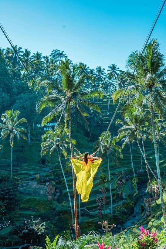 Ubud: Alas Harum Day-Pass, Swing, Sky Bike & Flying Fox - Coffee tour and the terrace walking that makes it feel local