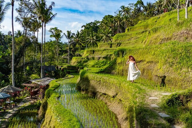 Ubud All-Inclusive Tour with Swing and Lunch - Key points that make this Ubud day feel worth it