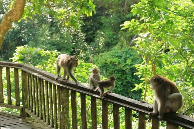 Ubud All-Inclusive Tour with Swing and Lunch - Tirta Empul Temple: the sacred spring and ritual purification