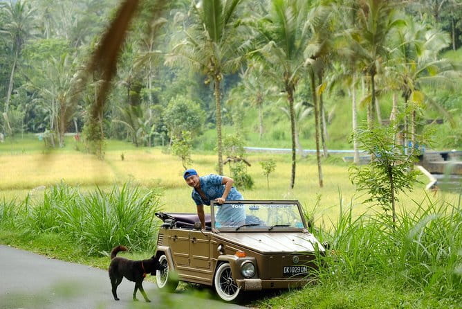 Ubud All-Inclusive Tour with Swing and Lunch - Ubud Jungle Swing: the big aerial view moment