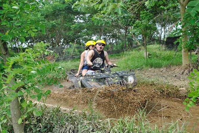 Ubud ATV Quad Bike, Monkey Forest and Rice Terrace - The Waterfall Stop Near Ubud: Short, Scenic, and Photo-Friendly