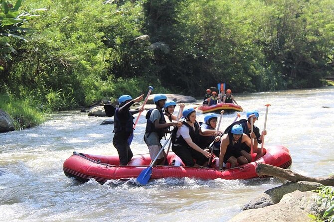 Ubud ATV Quad Bike with Ayung River Rafting Experience - Ayung River rafting: the guided way to handle white water
