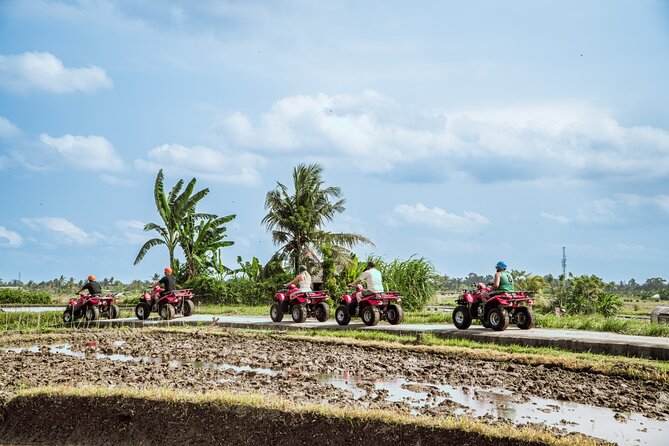 Ubud ATV Quad Bike with Infinity Pool Access All Inclusive - The 3-Hour Flow, From Pickup to Pool