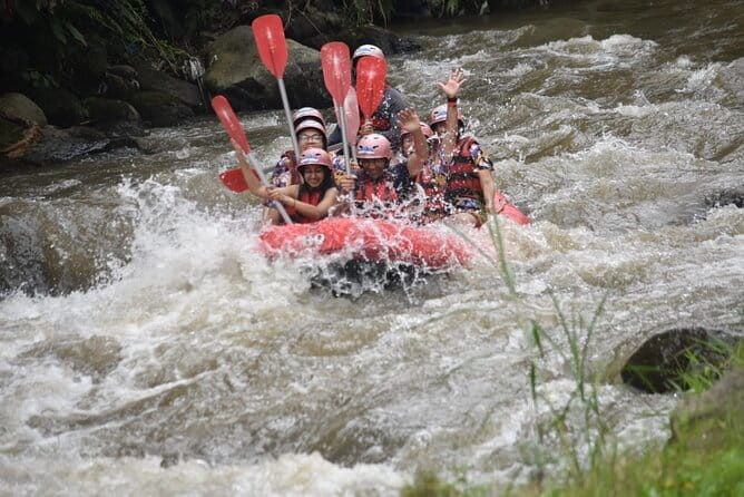 Ubud Ayung River Rafting with Meeting Point or Pickup - The 12-kilometer run: class 2+ rapids, waterfalls, and cliff carving
