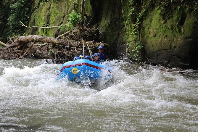 Ubud Ayung Water Rafting included Lunch and Transfer - Jungle sights, local wildlife, and a waterfall you may not expect