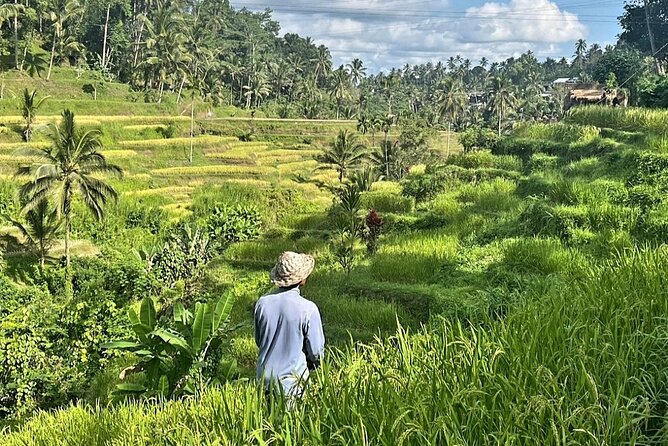 Ubud Bali Driver - Private Driver in Ubud - The Full-Day Route (and How Not to Feel Rushed)