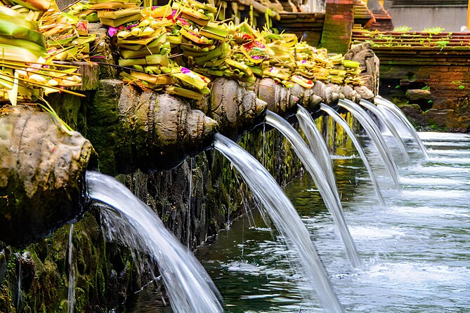 Ubud Bali: Rice Terrace, Waterfall and Tirta empul Day Tour - Why this Ubud culture-and-nature day feels worth it