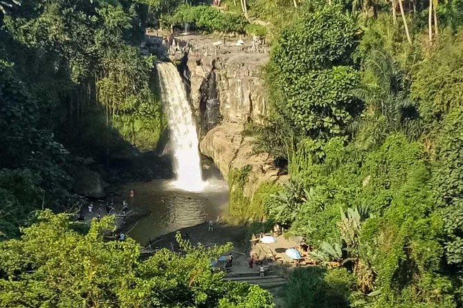 Ubud Best Tour - Price and logistics: how $75 per group really plays out