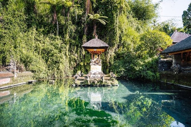 Ubud Best Tour - Monkey Forest Sanctuary: sacred grounds and the rules that keep it fun