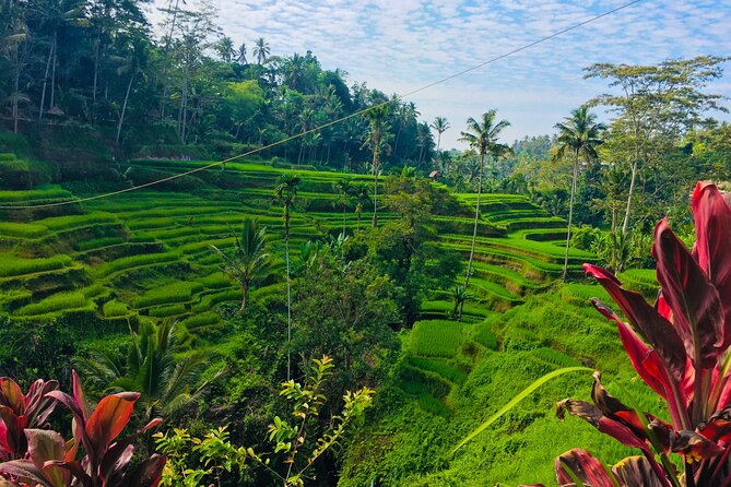 Ubud Best Tour - Gunung Kawi Sebatu Temple: water-focused spirituality in a calmer setting