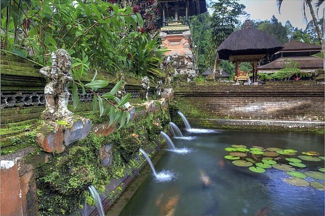 Ubud Best Tour - Tegalalang Rice Terrace: classic Ubud views with real photo time