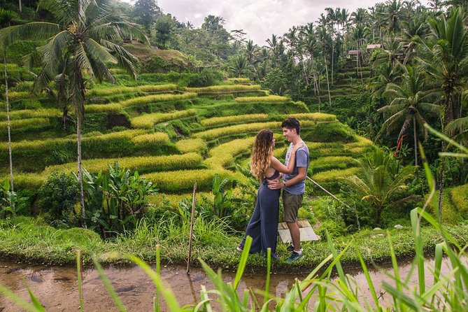Ubud City Tour II: Monkey Forest, Palace, Art Market, and Rice Terrace - Sacred Monkey Forest Sanctuary: macaques and temple surroundings