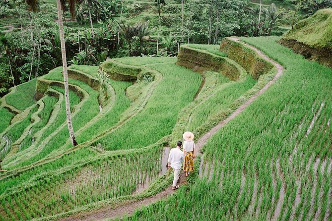Ubud City Tour II: Monkey Forest, Palace, Art Market, and Rice Terrace - Tegalalang Rice Terrace: views, optional hike, and the donation