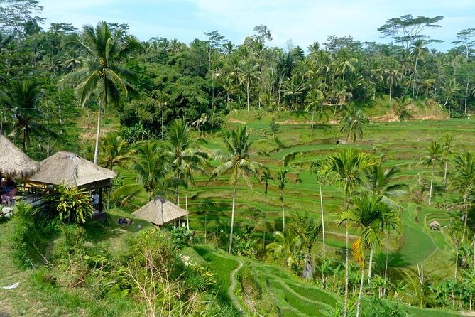 Ubud Combine Mount Batur Kintamani Tour - Ubud craft villages, plus Monkey Forest time