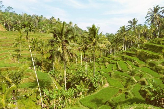 Ubud Combine Mount Batur Kintamani Tour - What’s included for the price, and how to avoid the lunch trap