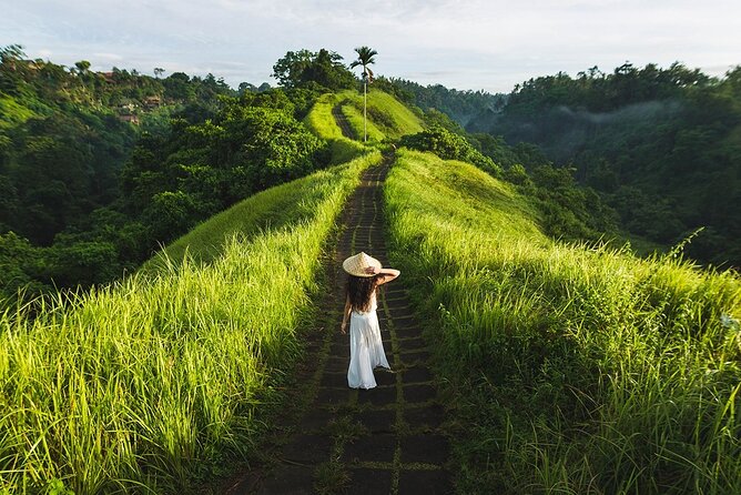 Ubud Countryside Tour: Campuhan Ridge Walk and Rice Terrace - Key highlights at a glance