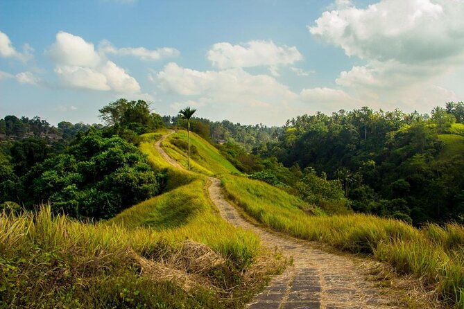 Ubud Countryside Tour: Campuhan Ridge Walk and Rice Terrace - Why This Ubud Countryside Loop Feels Worth the Time