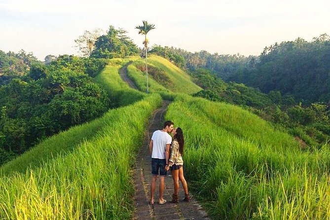 Ubud Countryside Tour: Campuhan Ridge Walk and Rice Terrace - Tegalalang Rice Terraces: Classic Views Plus Small Walking Fees