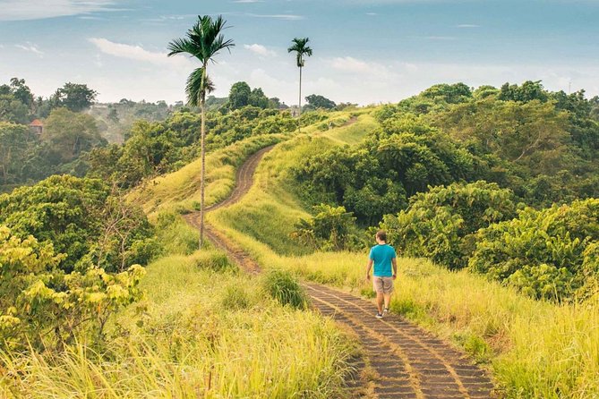 Ubud Countryside Tour: Campuhan Ridge Walk and Rice Terrace - Tirta Empul Temple: Sacred Springs and Real-World Respect