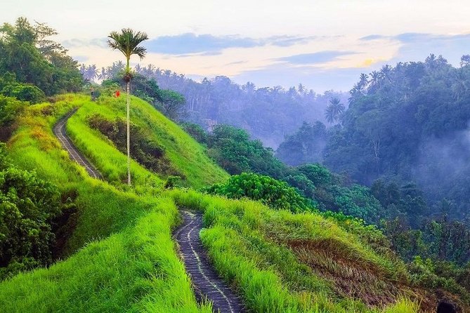 Ubud Countryside Tour: Campuhan Ridge Walk and Rice Terrace - The Coffee Plantation Stop: Organic Sampling, No Pressure