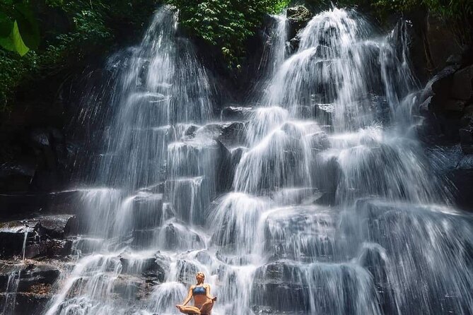 Ubud Customized Full Day Tour - Visit Most favorite In Ubud - How a customized Ubud full day actually feels