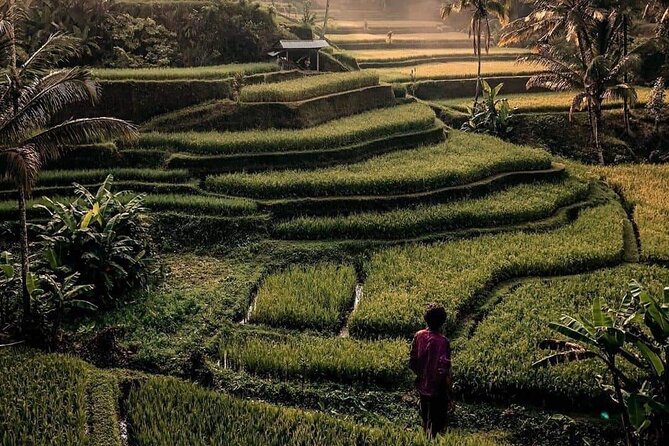 Ubud Customized Full Day Tour - Visit Most favorite In Ubud - Waterfall time: Kanto Lampo and Tibumana