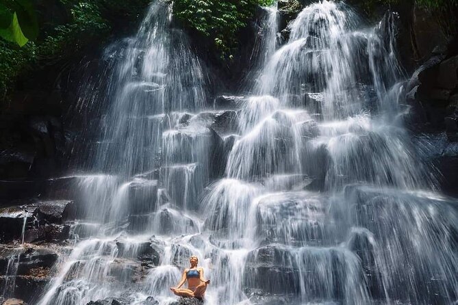 Ubud Customized Full Day Tour - Visit Most favorite In Ubud - Guide quality: why Abdi, Mangkok, Bram, and Gusti keep coming up