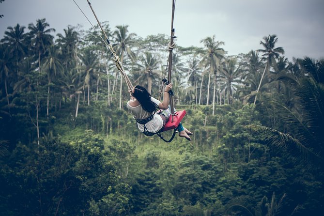 Ubud Customized Private Tour - A customized Ubud day beats the fixed-route rush