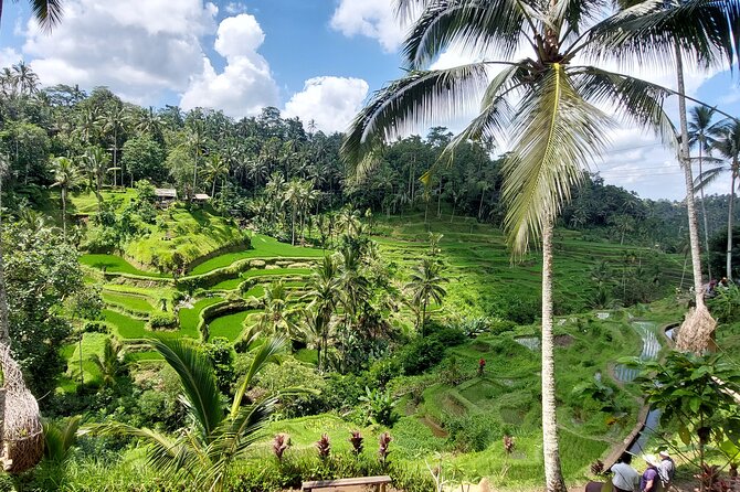 Ubud Customized Private Tour - Stop 1, Ubud: set your tone for the day