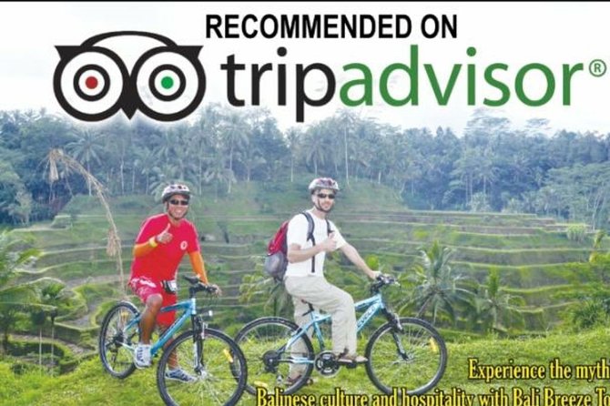 Ubud Cycling Tour - Price and Value: Getting a Lot for About $50