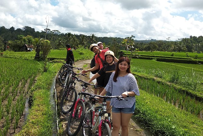 Ubud Cycling Tour - Stop 1: Tegalalang Rice Terrace for Classic Bali Views