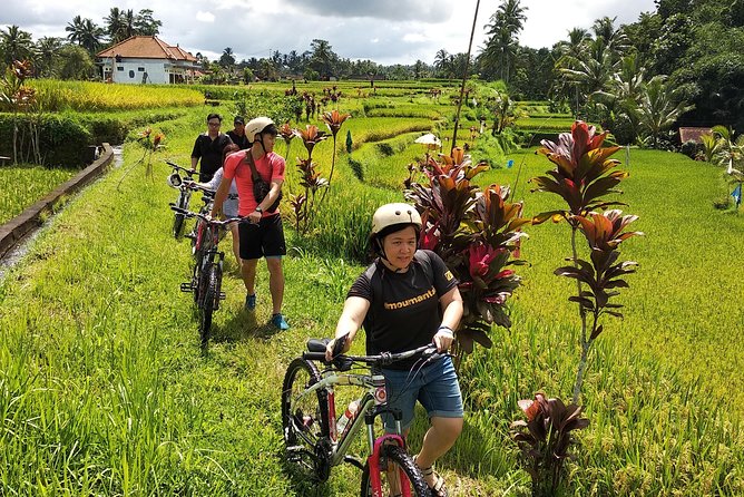 Ubud Cycling Tour - Mount Batur: Breakfast, Lake Views, and the Ride Setup