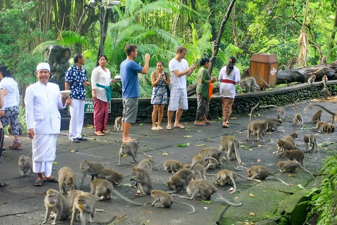 Ubud Day Tour: Sacred Monkey Forest, Tegenungan Waterfall, Rice Terrace - Tegenungan Waterfall: big water, clear water, and the stairs check