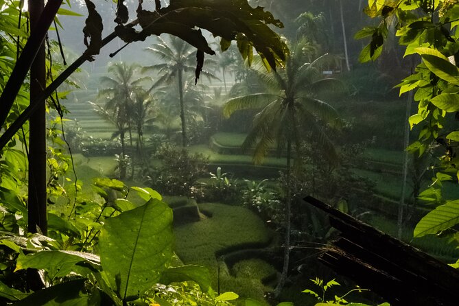 Ubud Day Tour - Top Things to do in Ubud + Local Ubud Guide - Celuk Village: gold and silver craft at a quick stop