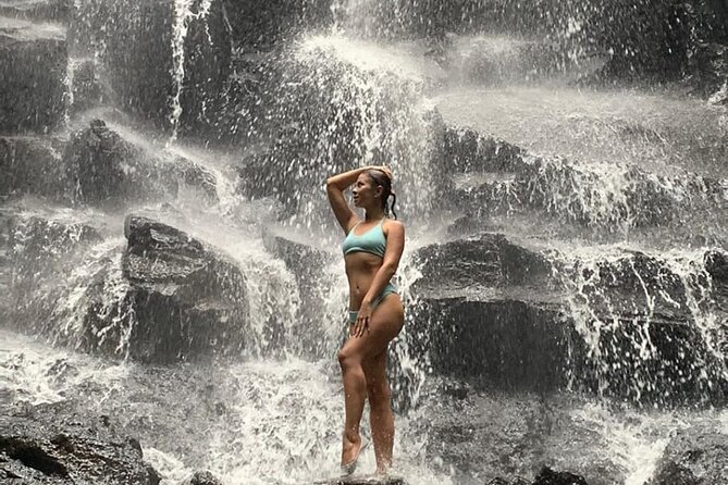 Ubud Day Tour : Waterfall, Temple and Local Night Market Tour - Private transport, small group size, and your guide’s style