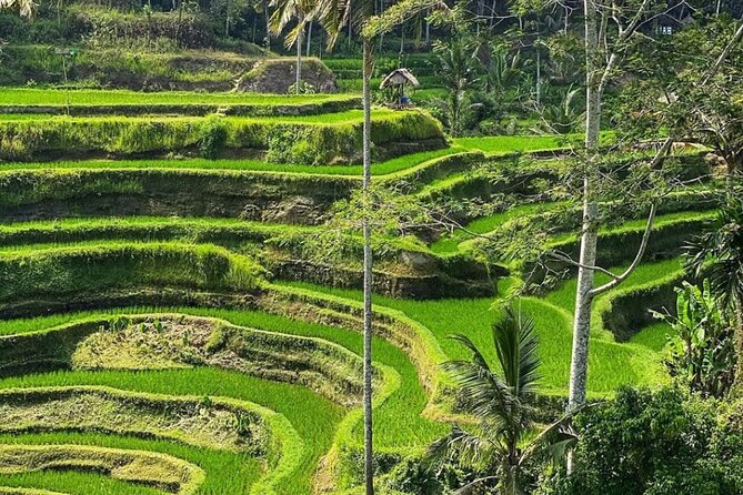 Ubud Day Tour : Waterfall, Temple and Local Night Market Tour - Stop 1: Tibumana Waterfall, where cool air meets real footing