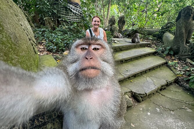 Ubud Day Tour with Private Car & Local Driver - Tegenungan Waterfall: a Popular Stop with Photo-Friendly Power