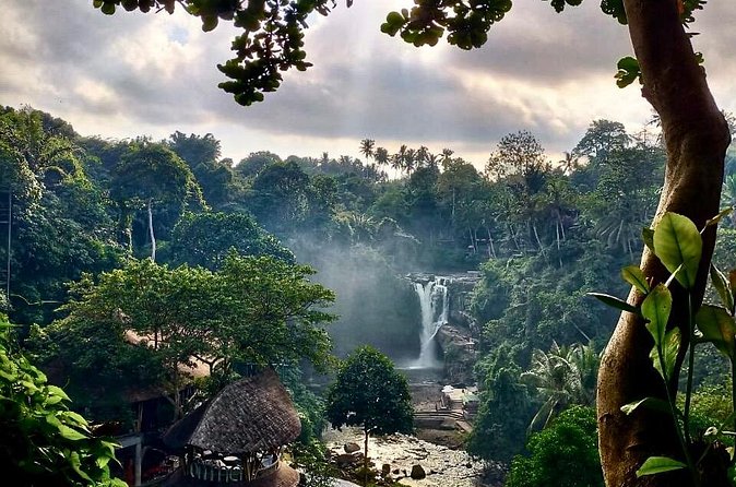 Ubud Day Tour with Private Car & Local Driver - Goa Gajah (Elephant Cave): 9th-Century Spiritual Site in a Tight Window