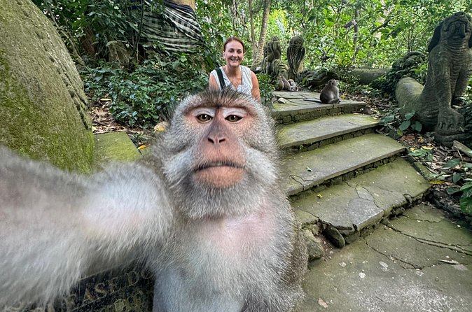 Ubud Day Tour with Private Car & Local Driver - Included Comforts That Make the Whole Day Easier