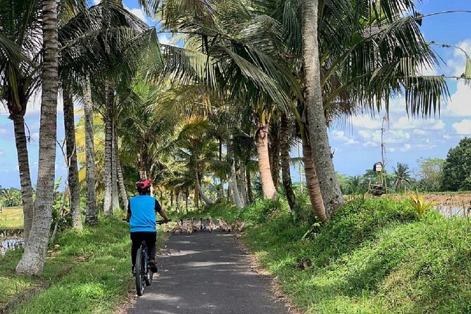 Ubud: Downhill Cycling with Volcano, Rice Terraces and Meal - Manukaya cultural stops: the local school and why education gets a spotlight