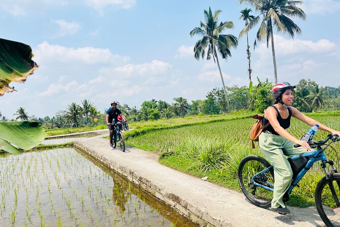 Ubud eBikes Tour to Tegallalang Rice Terrace - The 3-hour flow: setup, Petulu riding, then Tegallalang lunch views