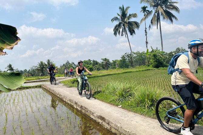 Ubud eBikes Tour to Tegallalang Rice Terrace - Stop 1: The eBikes Ubud Tour office and your quick ride briefing