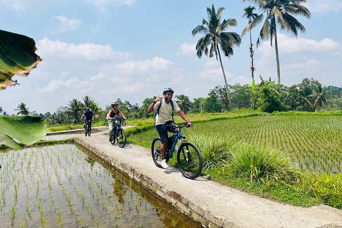 Ubud eBikes Tour to Tegallalang Rice Terrace - Stop 2: Petulu and the calm of countryside riding