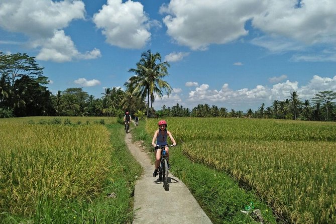 Ubud Eco Culture Cycling Exploration - Key Points Worth Your Time